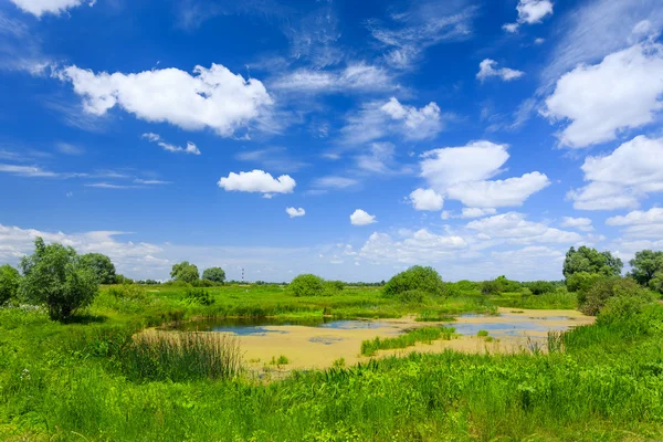 Paisagem verão — Fotografia de Stock