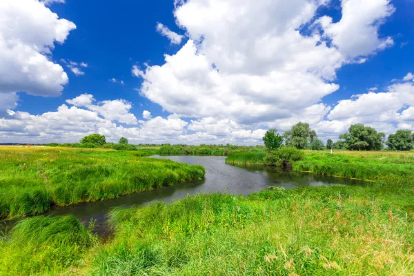 Paesaggio estivo — Foto Stock