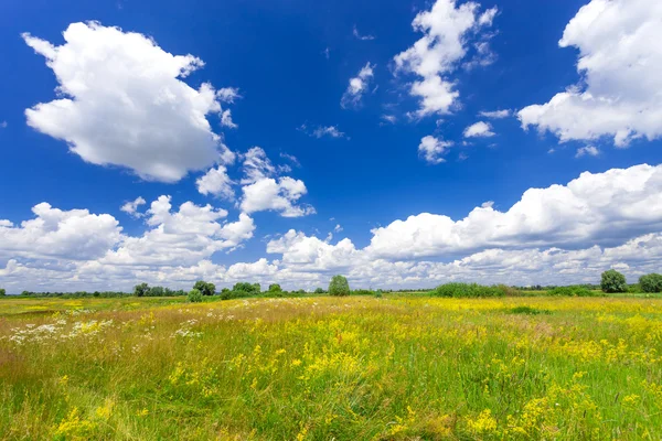 Paesaggio estivo — Foto Stock