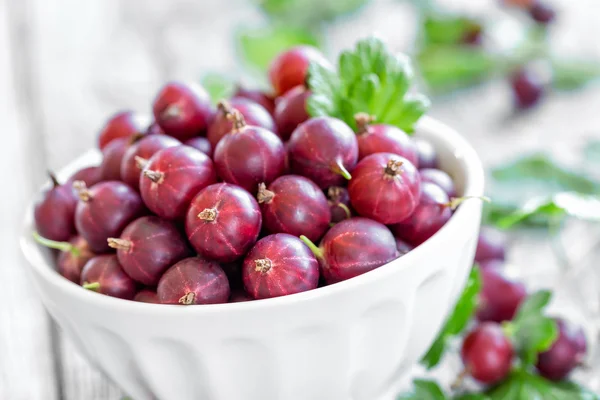 Gooseberry — Stock Photo, Image