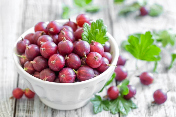 Gooseberry — Stock Photo, Image