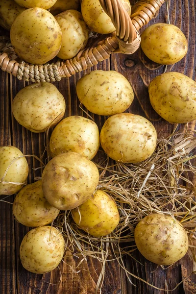 Patates — Stok fotoğraf