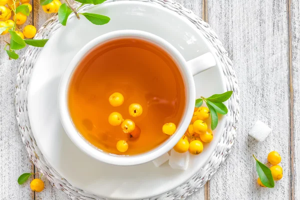 Herbal tea with hawthorn — Stock Photo, Image