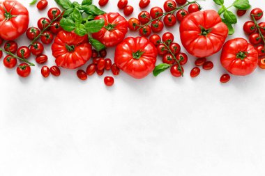 Beyaz zemin üzerinde domates ve fesleğen, üst görünüm, düz yatış