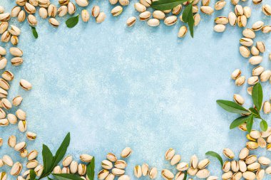 Çam fıstığı. Yeşil yapraklı çam fıstığı. Sağlıklı doğal vejetaryen organik gıdalar. Üst görünüm, alanı kopyala