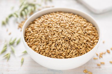 Oats. Whole grain oats with ears