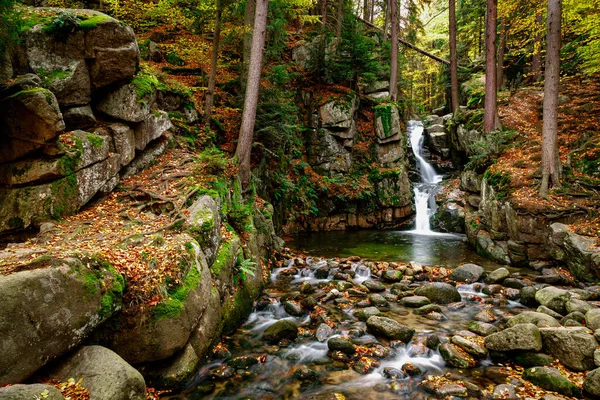 Nature Landscape Waterfall Beautiful Fall Mountain Wild Forest Waterfall Green — Stock Photo, Image