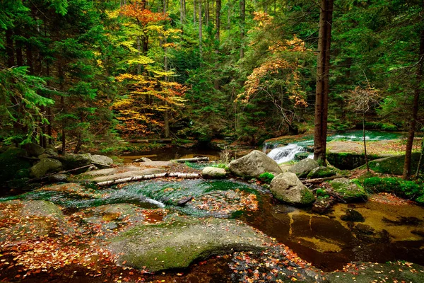 自然の風景 苔で美しい秋の山の野生の森の川の石をカバー 森の秋の風景 自然の風景 — ストック写真