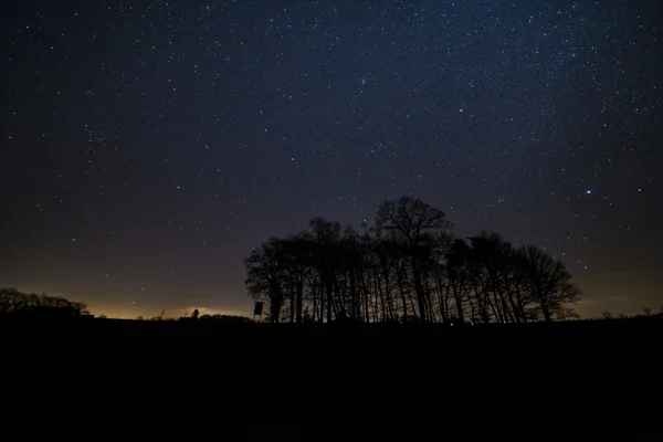 Skogens stjärnhimmel — Stockfoto