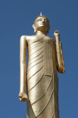 uzun boylu altın buddha
