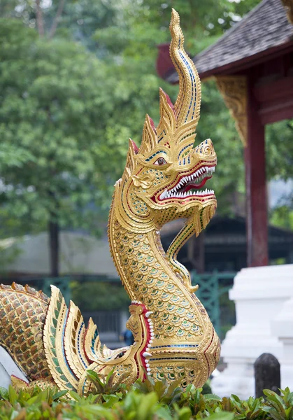 Utsmyckade golden dragon — Stockfoto