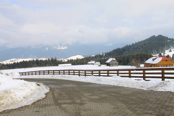 Brasov