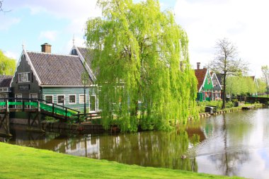 Zaanse Schans'a Hollanda'da