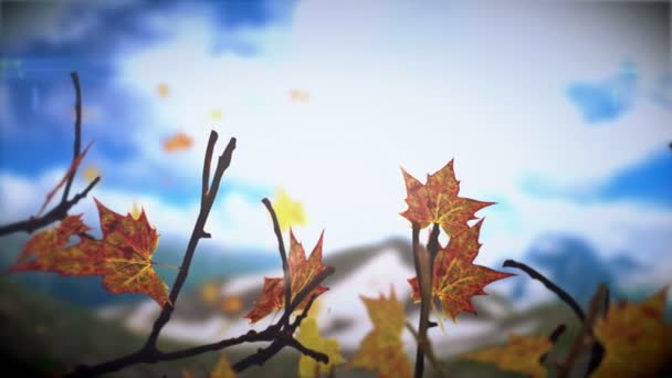 Feuilles d'automne.