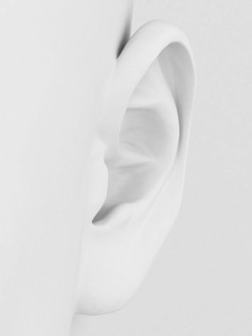 3D kulak