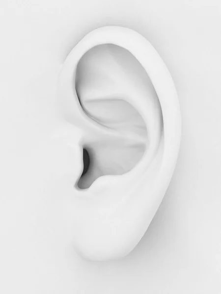 3D-s fül Stock Kép