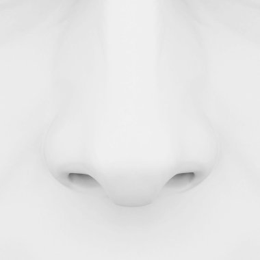 3D burun