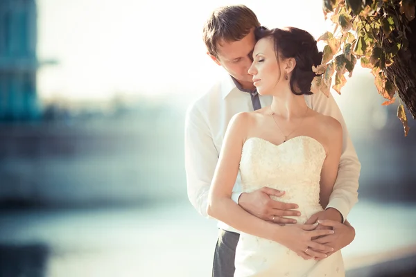 Fotografía de boda —  Fotos de Stock