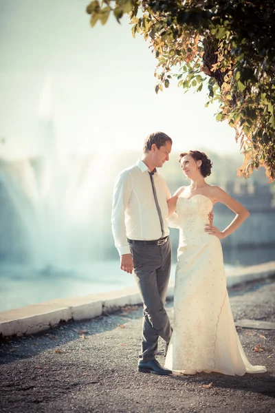 Fotografía de boda —  Fotos de Stock