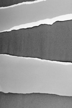 Yırtılmış Kağıt