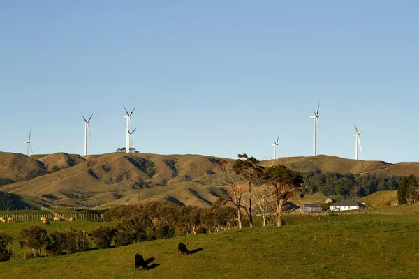 Windturbines — Stockfoto