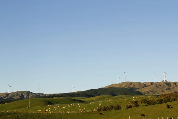 Éoliennes — Photo