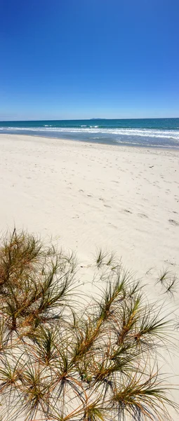 Plage de sable, ciel bleu et eau — Photo