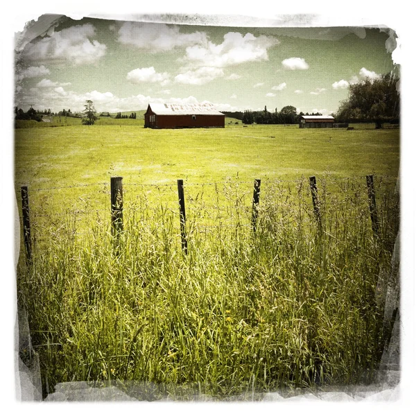 Амбар в поле — стоковое фото