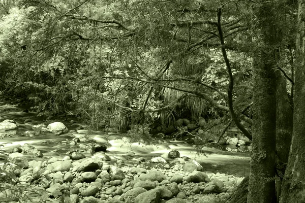 Arroyo — Foto de Stock