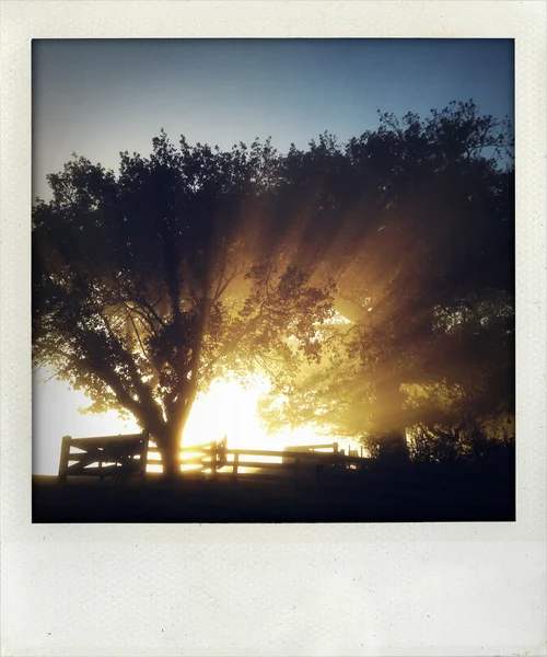 Sun rays — Stock Photo, Image