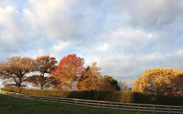 Otoño —  Fotos de Stock