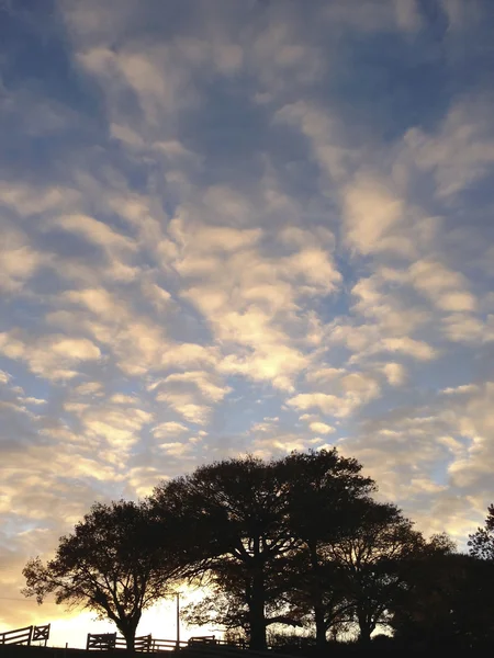 Céu da manhã — Fotografia de Stock