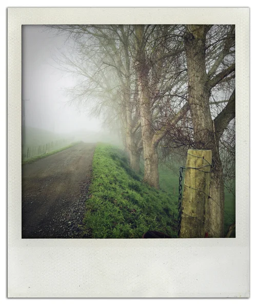 Szlak Foggy — Zdjęcie stockowe