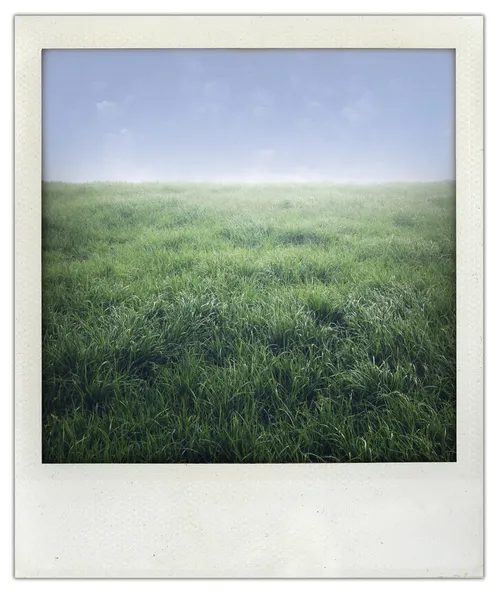 Gras und Himmel — Stockfoto