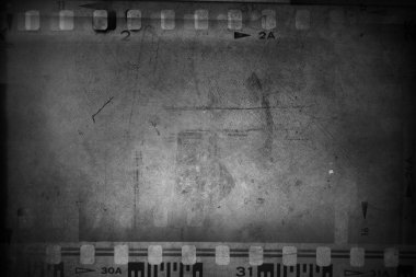 Film negatifleri