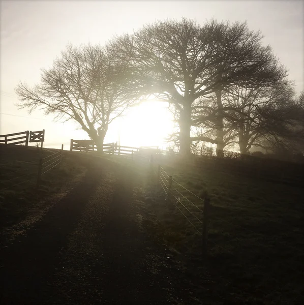 Sonnenlicht — Stockfoto