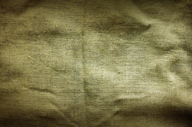 Kendir ehlileştirmek