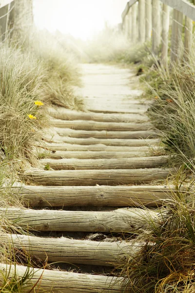 Walkway — Stock Photo, Image