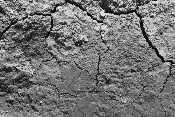 Cracked earth — Stock Photo, Image