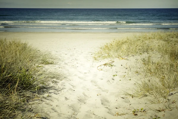Pláž stezka — Stock fotografie