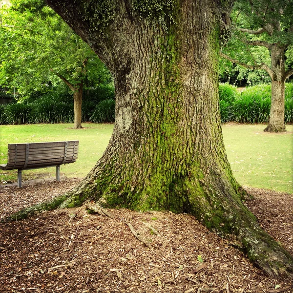 Assento no parque — Fotografia de Stock