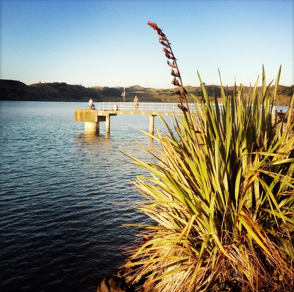 Pesca — Fotografia de Stock