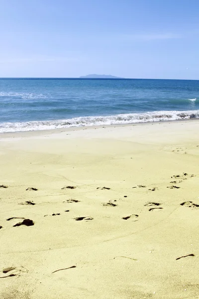 Stampe da spiaggia — Foto Stock