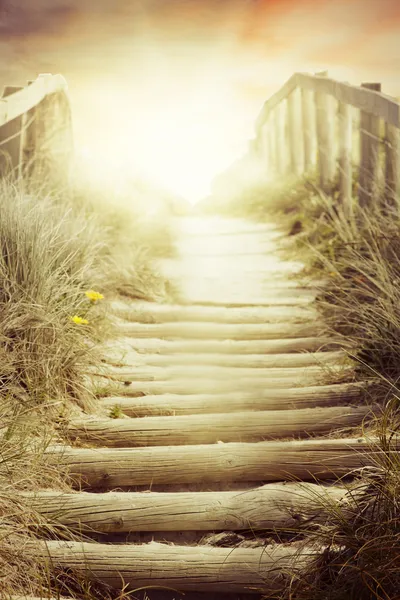 Walkway — Stock Photo, Image