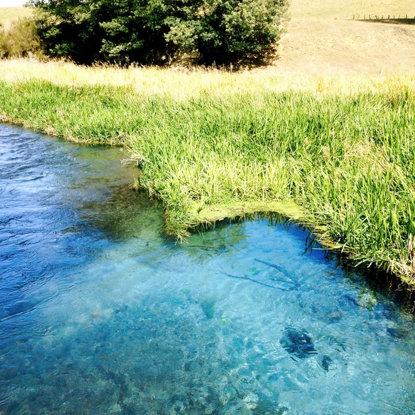 Родниковая вода — стоковое фото