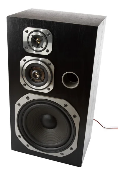 Speaker — Stock Photo, Image