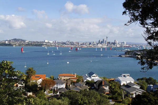 Auckland. — Foto de Stock