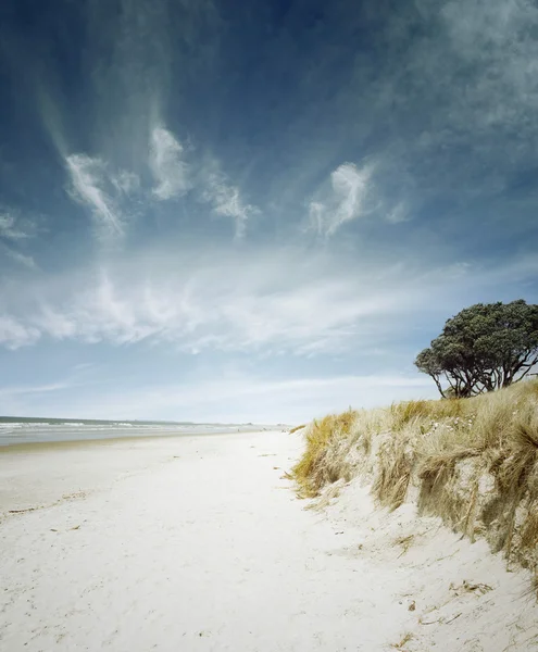 ชายหาด — ภาพถ่ายสต็อก