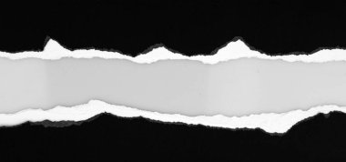 Gri arkaplan üzerinde yırtılmış kağıt, kopyalamak için boşluk