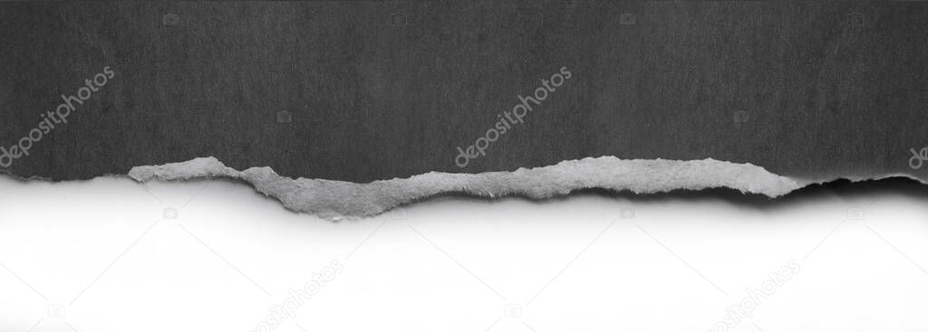 Ripped paper edge on white background, space for copy